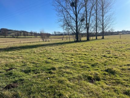 Vente terrain NAUCELLES Cantal