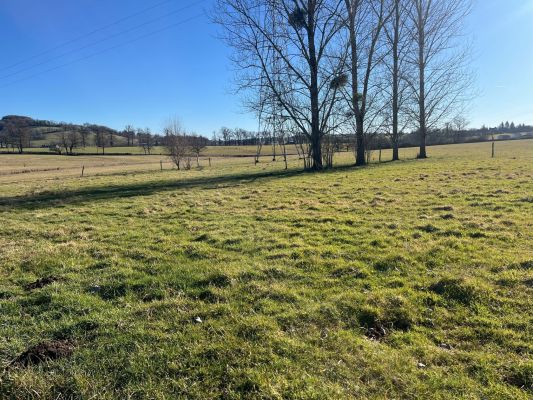 Vente terrain NAUCELLES Cantal