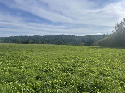 Vente terrain ROANNES-SAINT-MARY Cantal