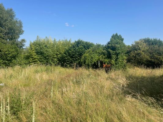 Vente terrain GLENAT Cantal