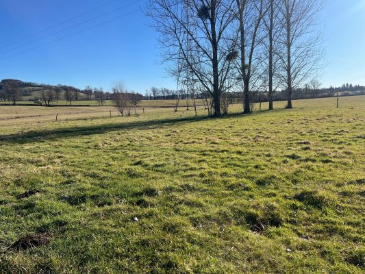Vente terrain NAUCELLES Cantal