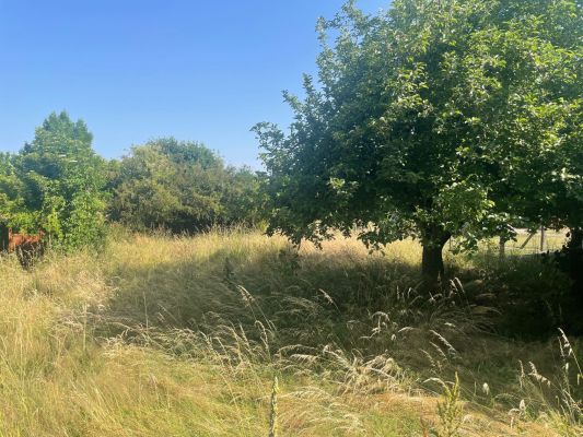 Vente terrain GLENAT Cantal