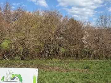 🚨 Ne passez pas à côté de cette dernière chance !

Il ne reste plus que quelques terrains disponibles dans notre lotissement Les Hauts de Limagne situé à...