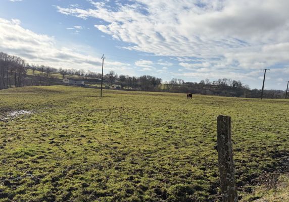 Vente terrain JUSSAC Cantal