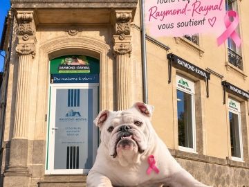 🎀 Octobre Rose

Ce mois-ci, Raymond Raynal se pare de rose pour soutenir la lutte contre le cancer du sein.

Un mois pour sensibiliser, rappeler l’importance...